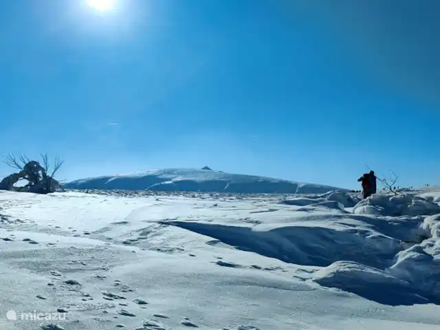 Au bord du Bleu | France, Vosges, Lubine - maison de vacances