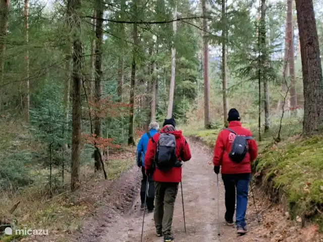 Au bord du Bleu | France, Vosges, Lubine - maison de vacances Vos randonnées