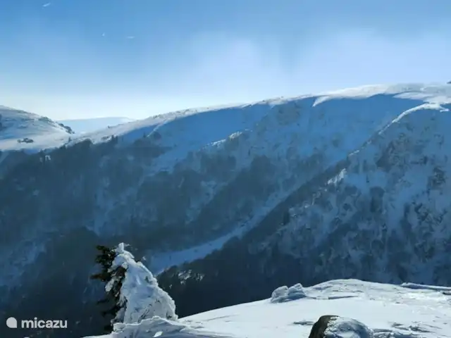 Au bord du Bleu | France, Vosges, Lubine - maison de vacances