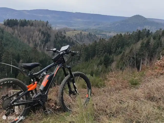 Au bord du Bleu | France, Vosges, Lubine - maison de vacances
