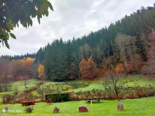 Au bord du Bleu | France, Vosges, Lubine - maison de vacances En face du gîte