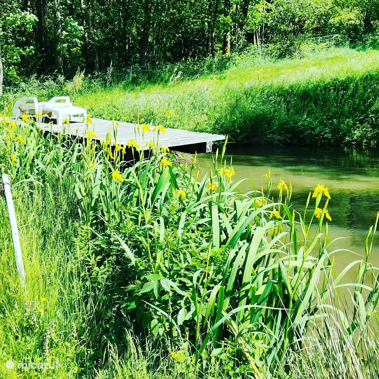 De privévijver ter beschikking van vissers