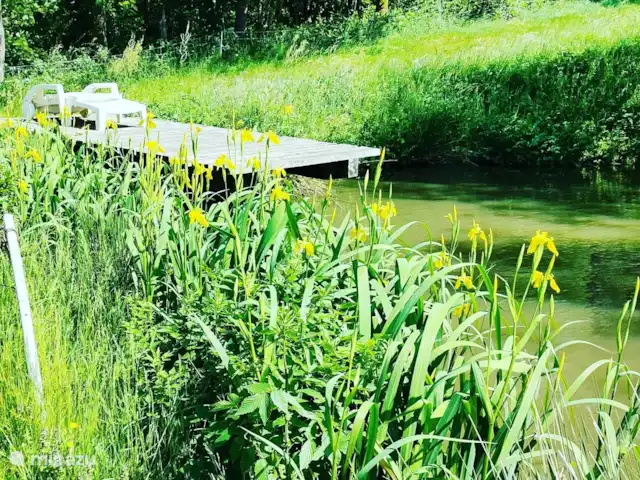 Au bord du Bleu | France, Vosges, Lubine - maison de vacances L'étang privatif à la disposition des voyageurs pêcheurs