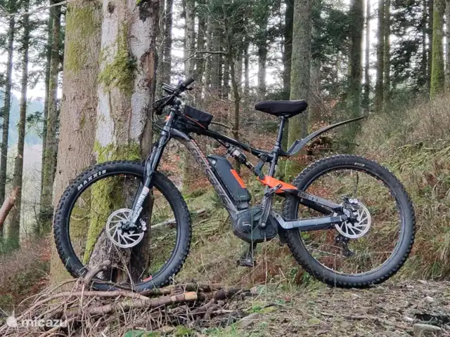 Au bord du Bleu | France, Vosges, Lubine - maison de vacances N'oubliez pas vos VTT