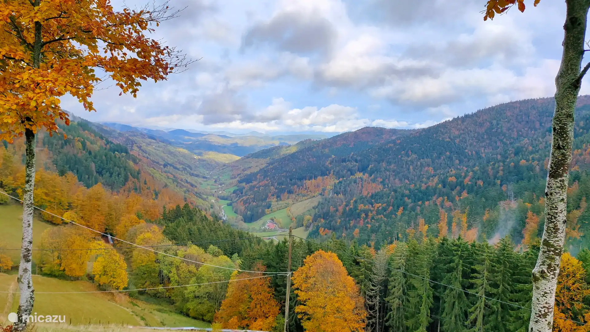 Uitzicht op de Elzasvallei 