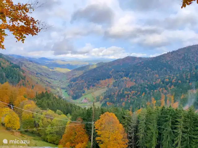 Au bord du Bleu | France, Vosges, Lubine - maison de vacances Vue sur la vallée d'Alsace