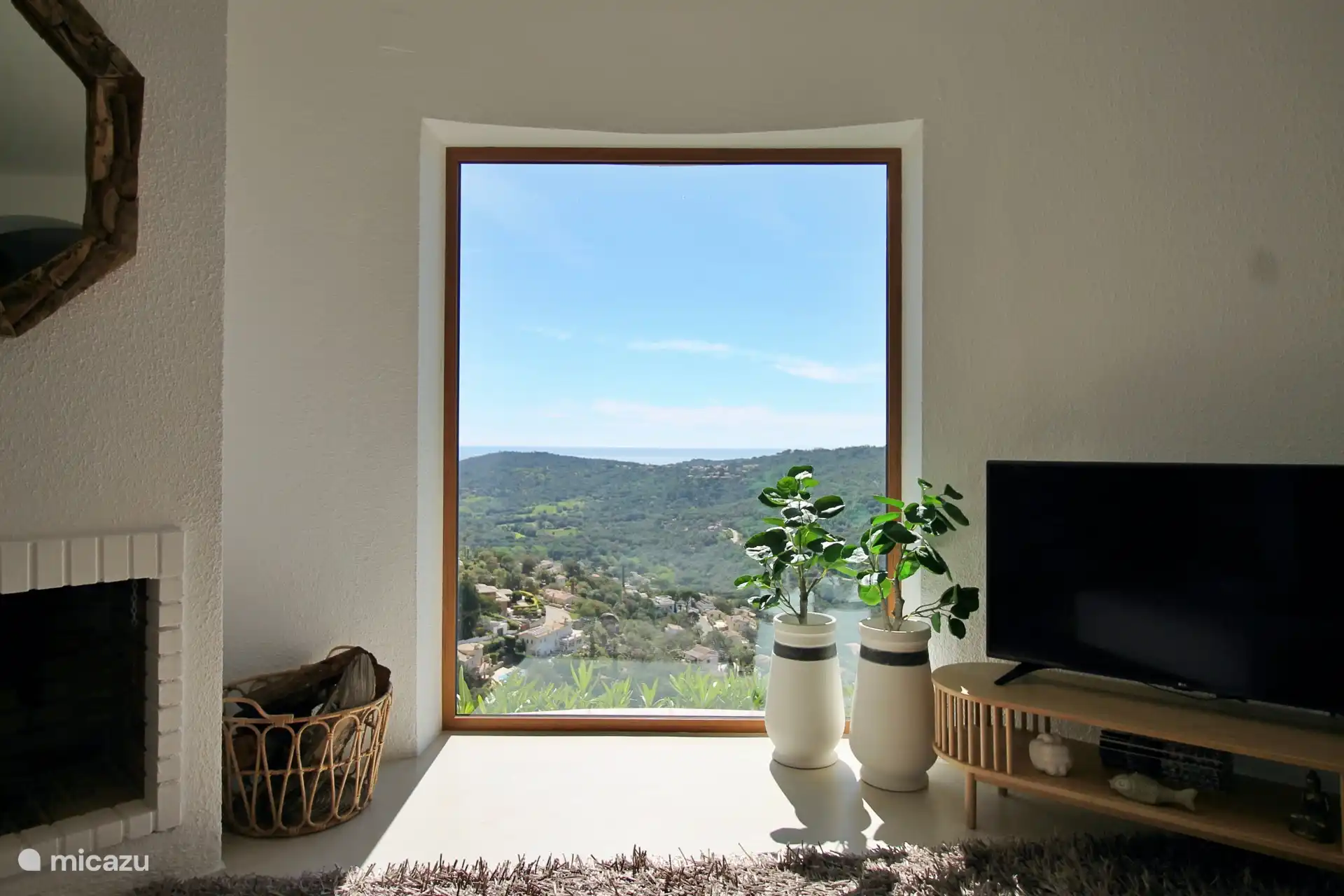 Living room window