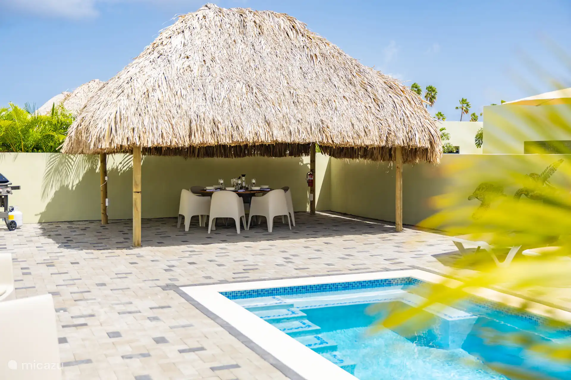 Palapa/Garten/Pool
