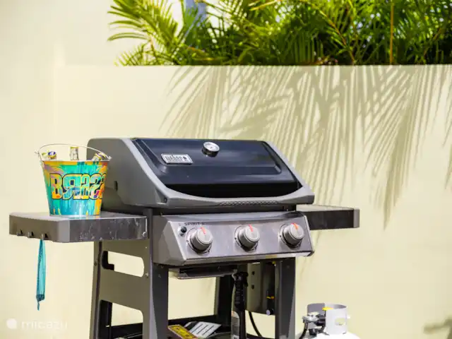 Casa Bon Bida huren in Curaçao, Banda Ariba (oost), Mambo Beach - villa BBQ