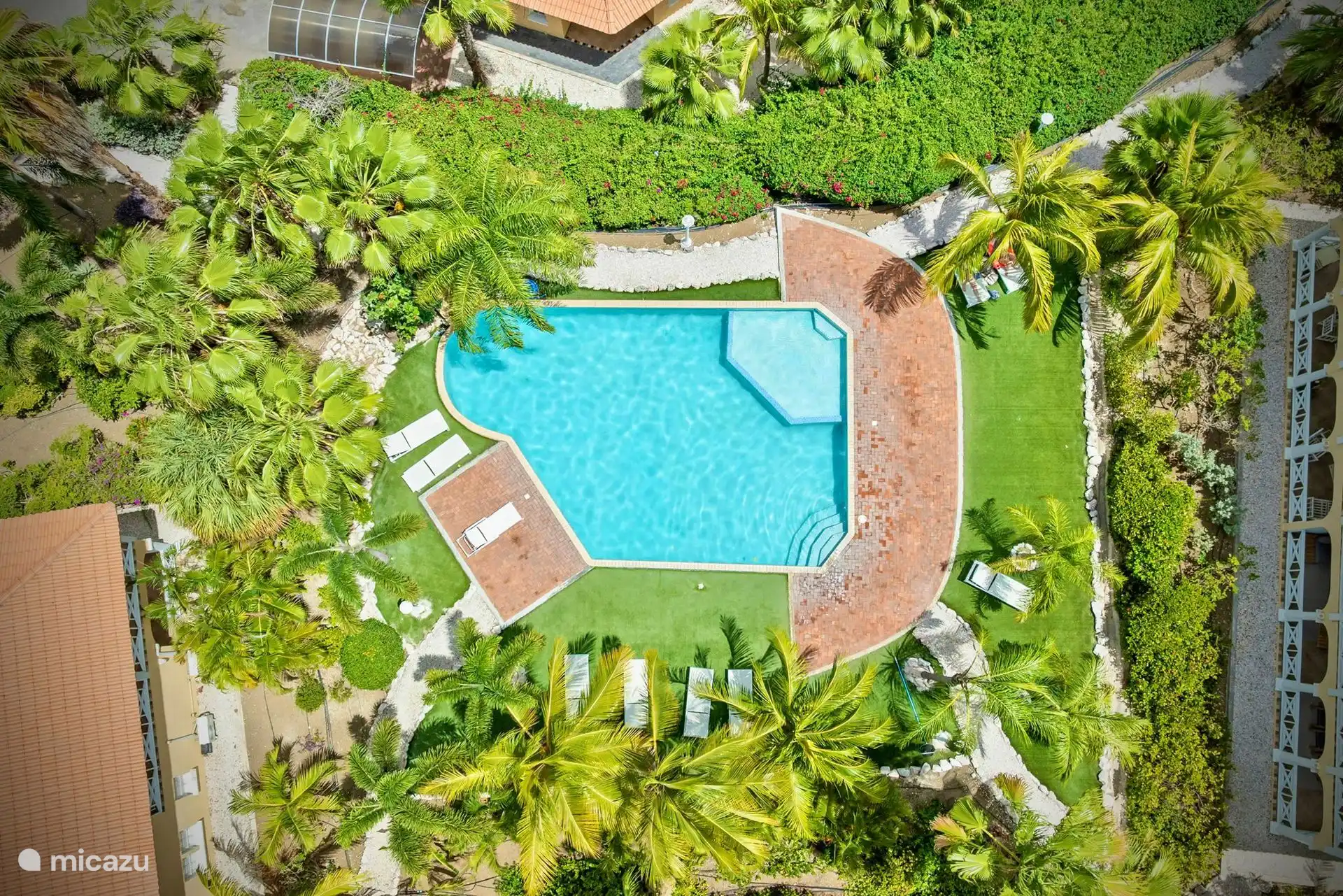 Vista general de la piscina en el jardín de palmeras tropical cerrado.