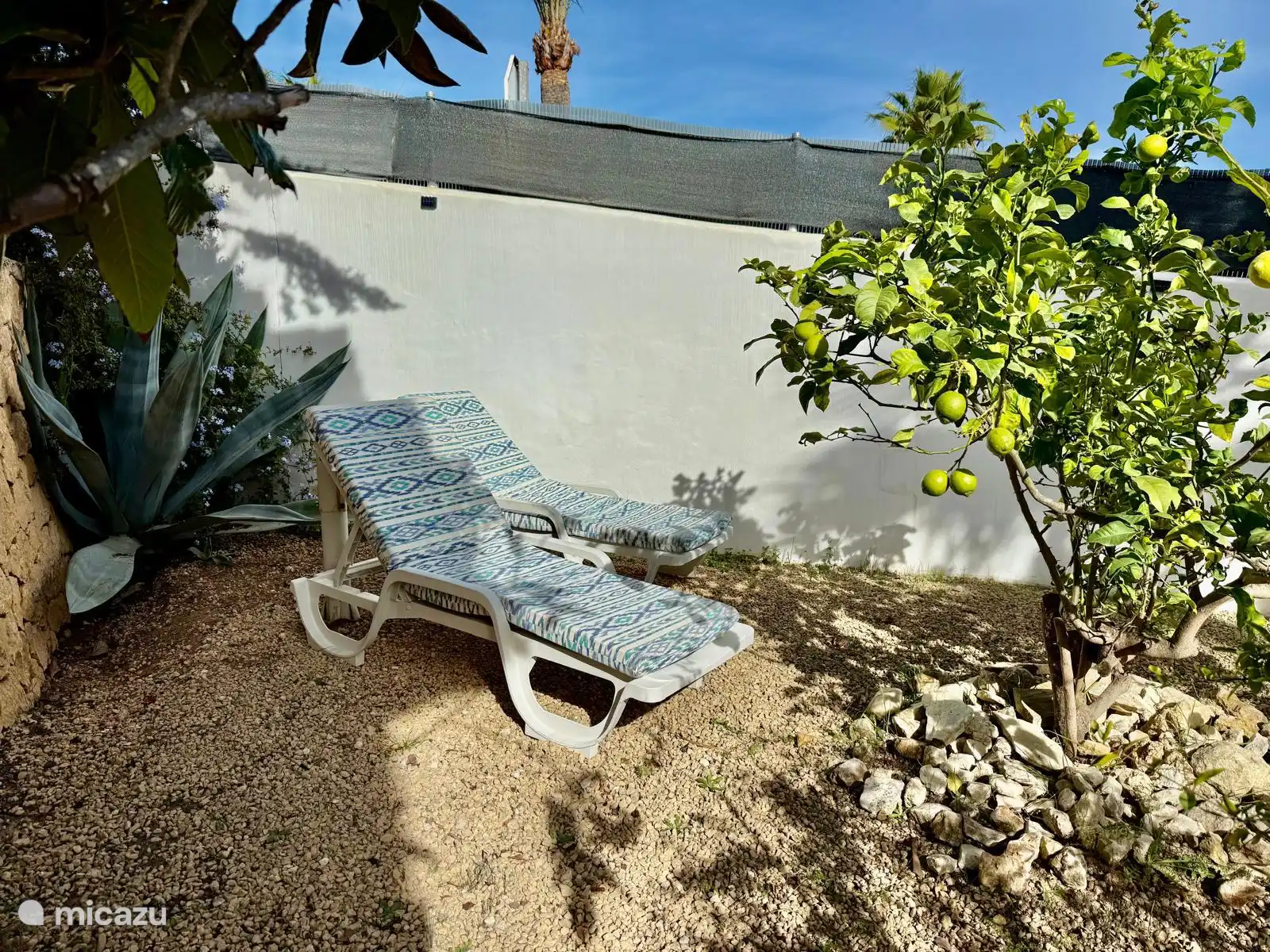 Des lits de bronzage dans le jardin entre les citronniers.