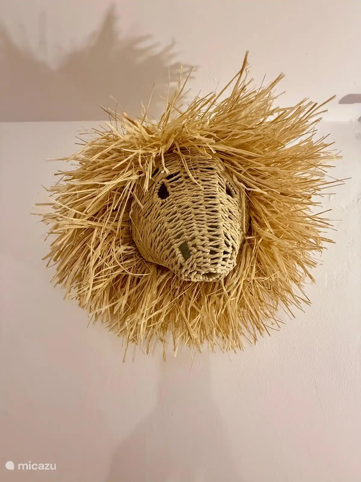 Détails bohèmes : lion dans la chambre