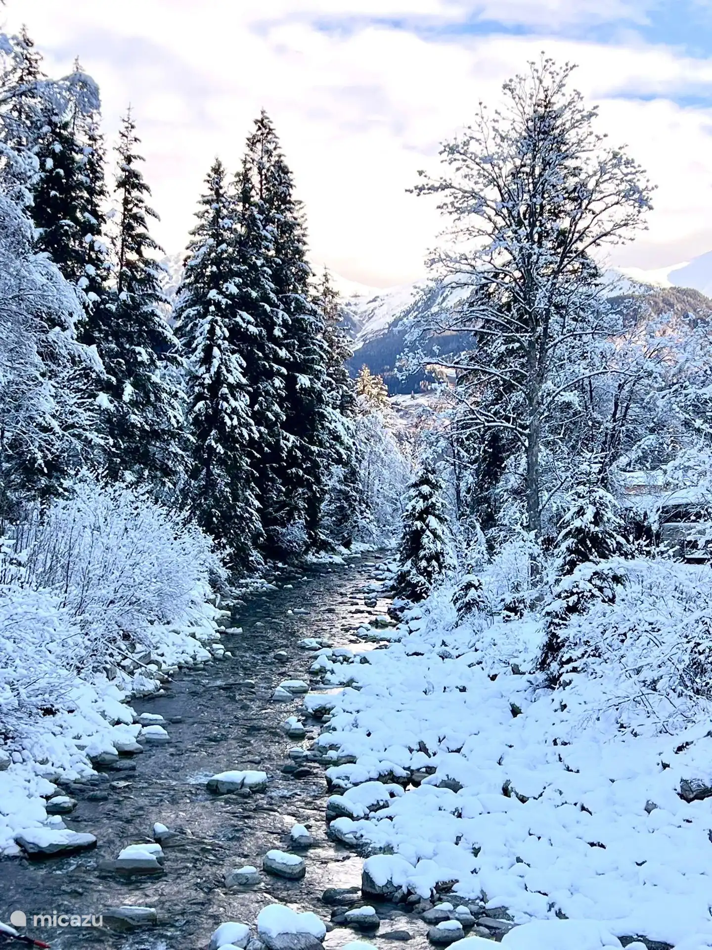 Beek vlakbij het huis