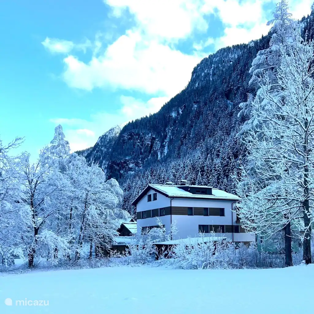 Villa Valerie Bad Gastein App 2B