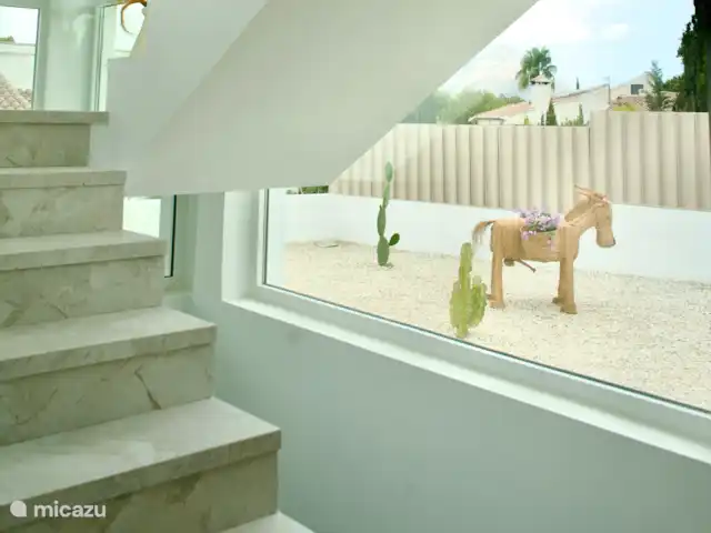 Villa Tranquilla - NEW IN JAVEA! in Spain, Costa Blanca, Jávea - villa When the stairs go upstairs, always greet Harry who is outside and guards the cacti...