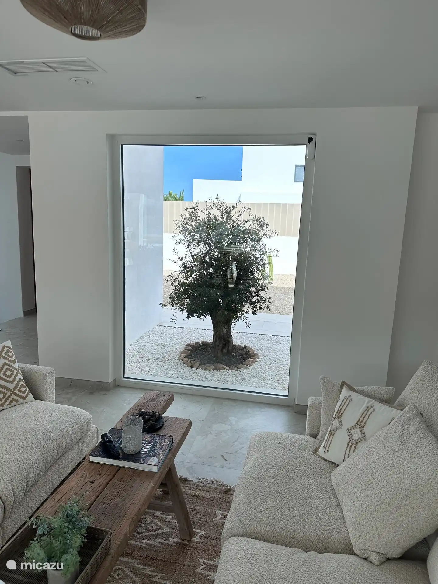 Du salon, vous pouvez voir le bel olivier. 