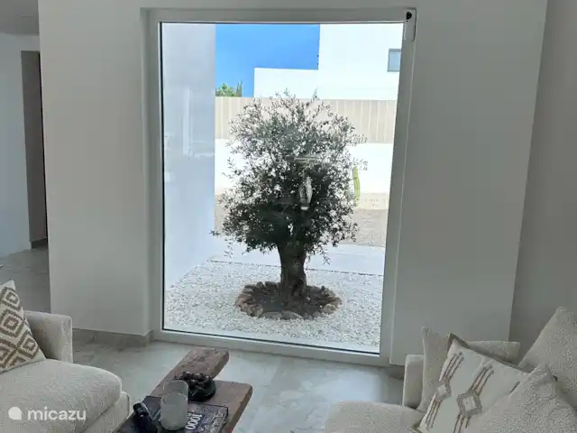 Villa Tranquilla - NEW IN JAVEA! in Spain, Costa Blanca, Jávea - villa From the living room you can see the beautiful olive tree.