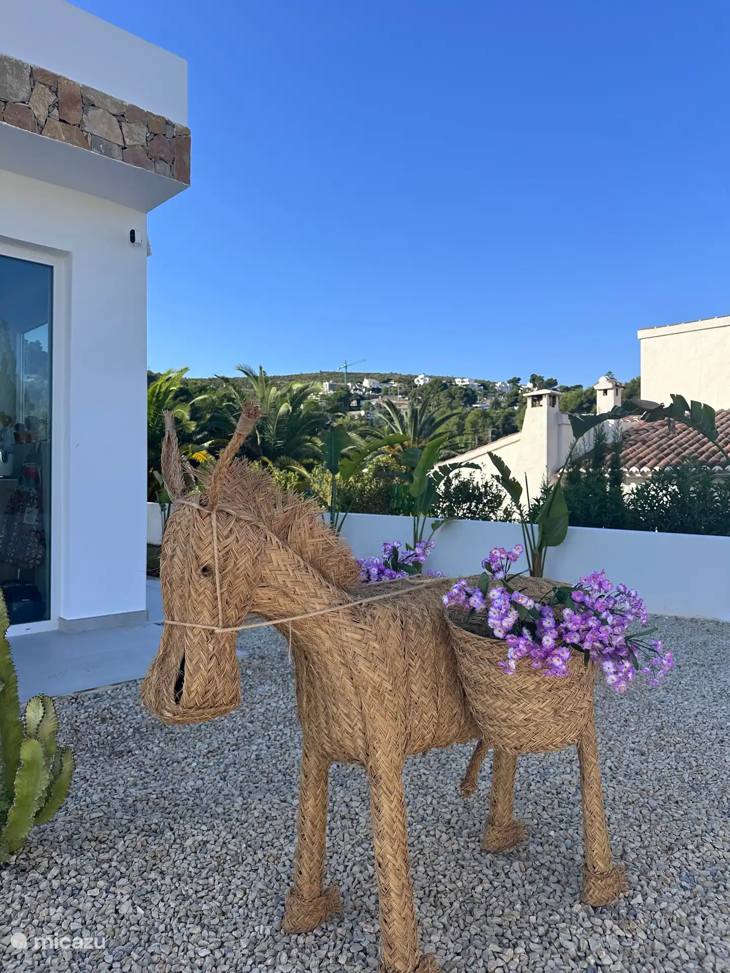 Harry garde la cour avant. 