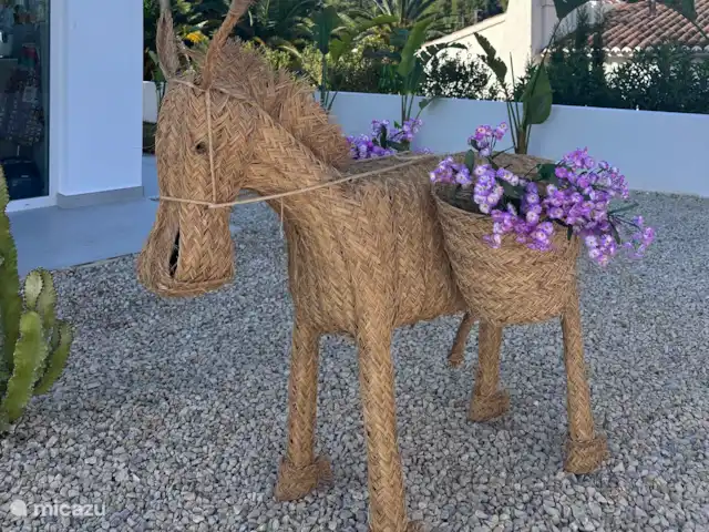 Villa Tranquilla - NEW IN JAVEA! in Spain, Costa Blanca, Jávea - villa Harry guards the front yard.