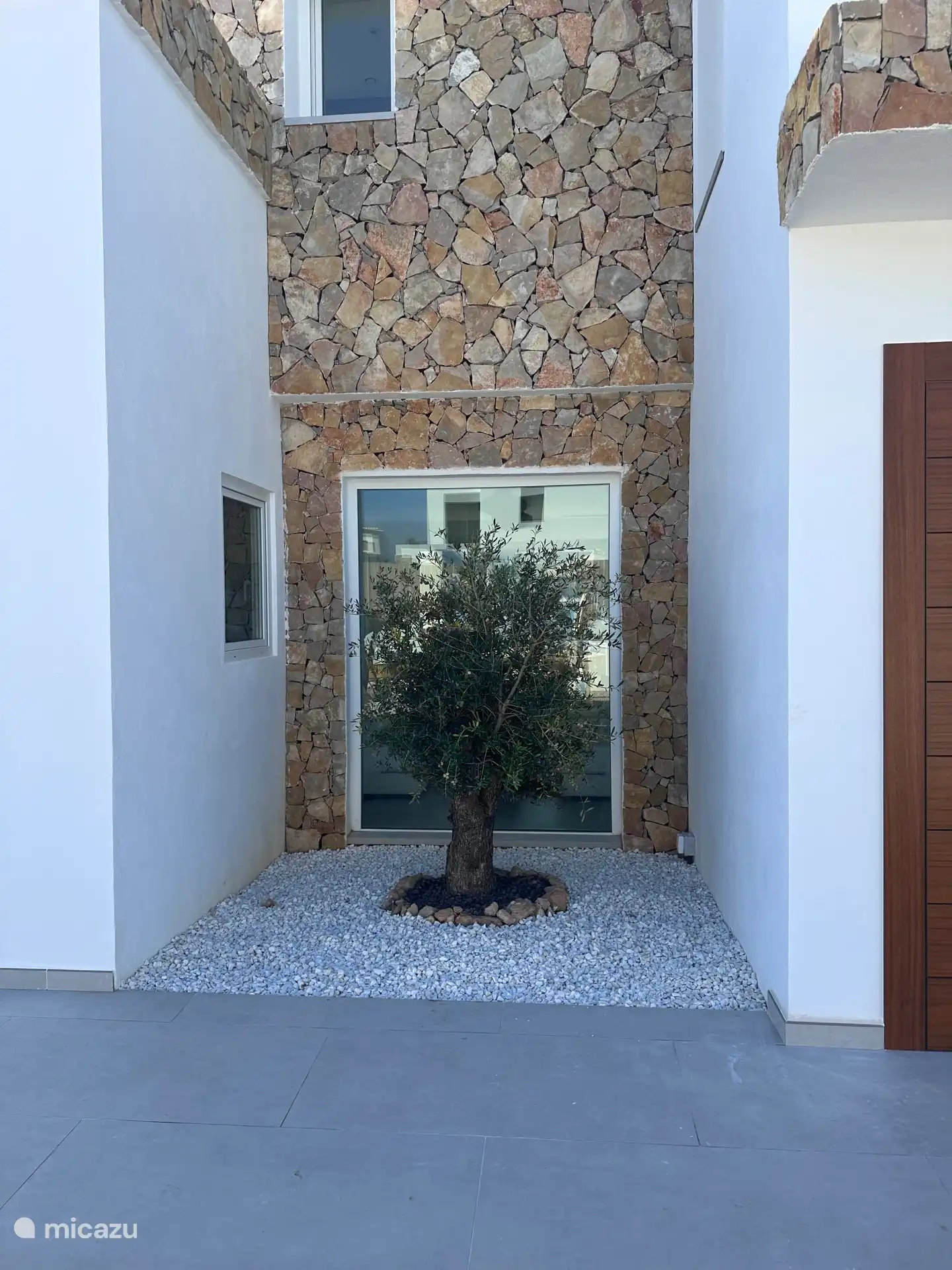 L’olivier vu de l’extérieur à côté de la porte d’entrée. 