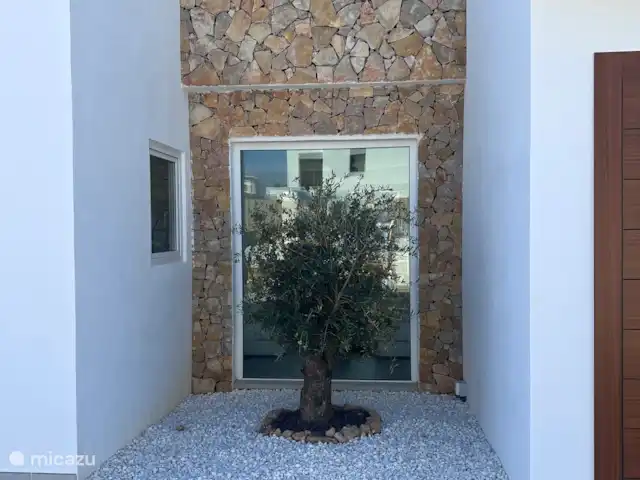 Villa Tranquilla - NEW IN JAVEA! in Spain, Costa Blanca, Jávea - villa The olive tree seen from the outside next to the front door.