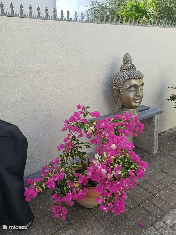 Buda del jardín y la barbacoa