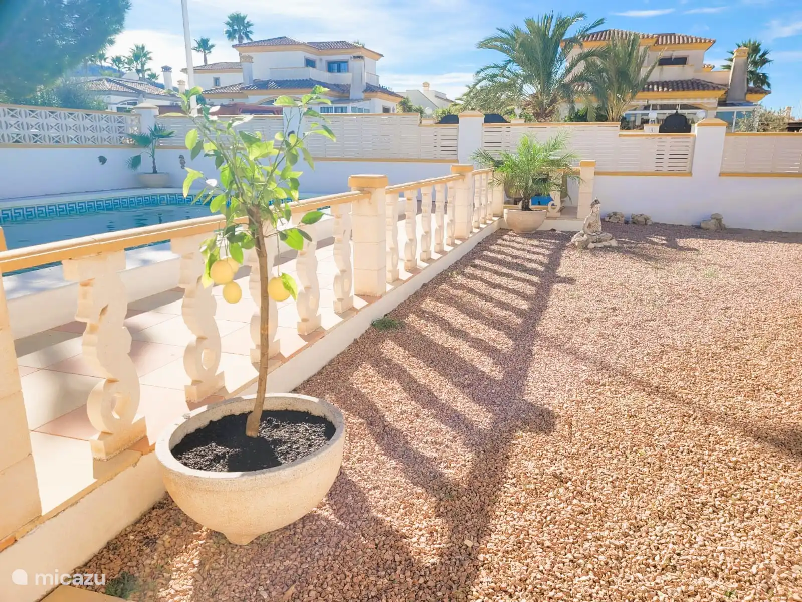 Jardin avec la piscine sur la gauche