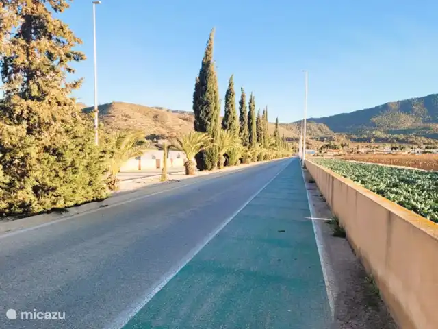 Location de Vacances Espagne, Costa Blanca, Hondón de las Nieves, maison de vacances - La Joya de Hondon La belle route vers l’urbanisation.