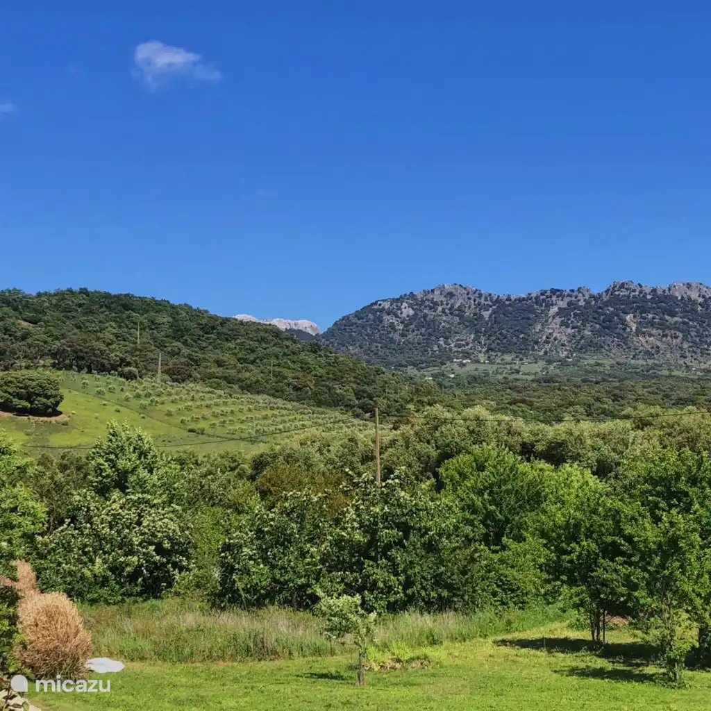 Finca La Rana Verde - Studio Paqui