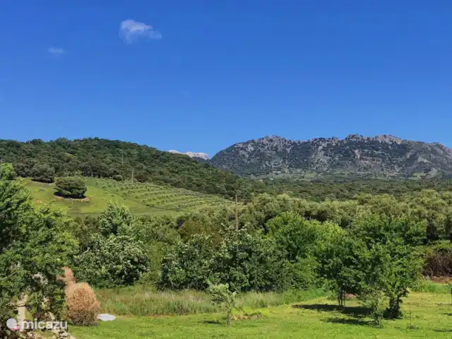 Location de Vacances Espagne, Andalousie, Cortés de la Frontera, studio -  Finca La Rana Verde - Studio Paqui Le jardin avec vue sur les montagnes