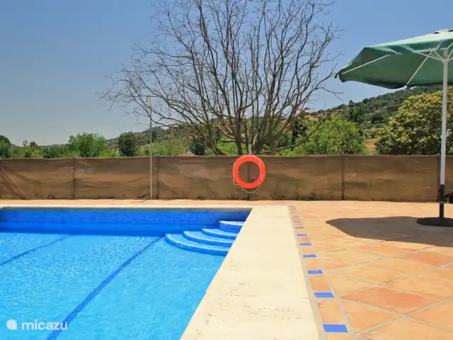 Location de Vacances Espagne, Andalousie, Cortés de la Frontera, studio -  Finca La Rana Verde - Studio Paqui Piscine