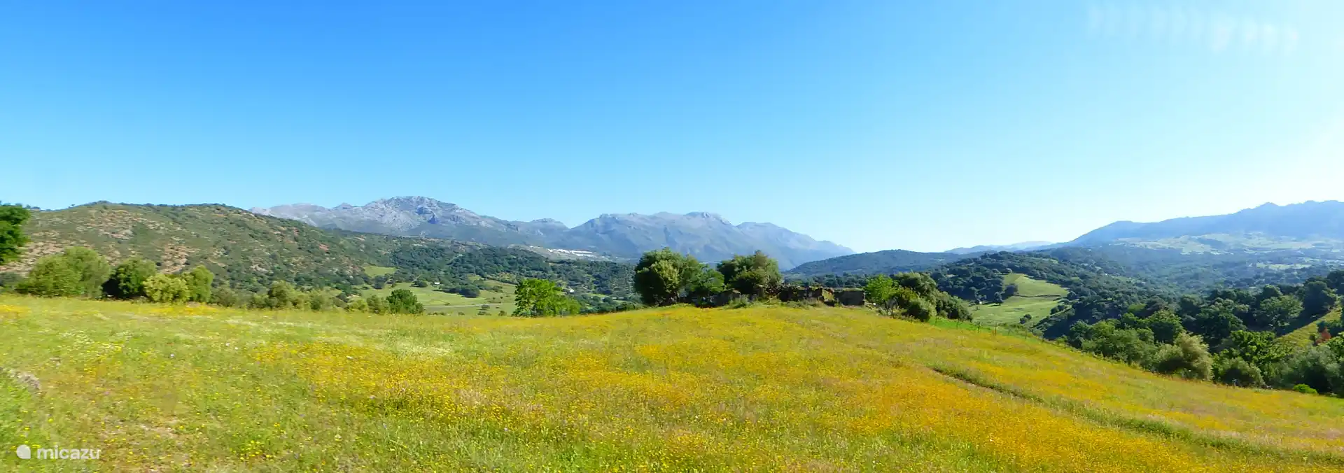 La campagne magnifique !