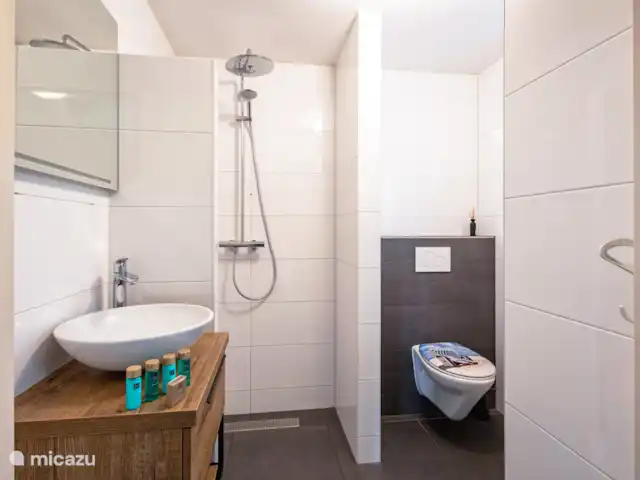 Location de Vacances Pays-Bas, Texel, Den Burgh, maison de vacances - Wulpenweid 12 De Meeuw Salle de bain en bas