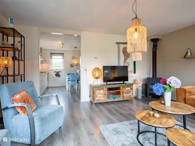 Location de Vacances Pays-Bas, Texel, Den Burgh, maison de vacances - Wulpenweid 12 De Meeuw Téléviseur intelligent