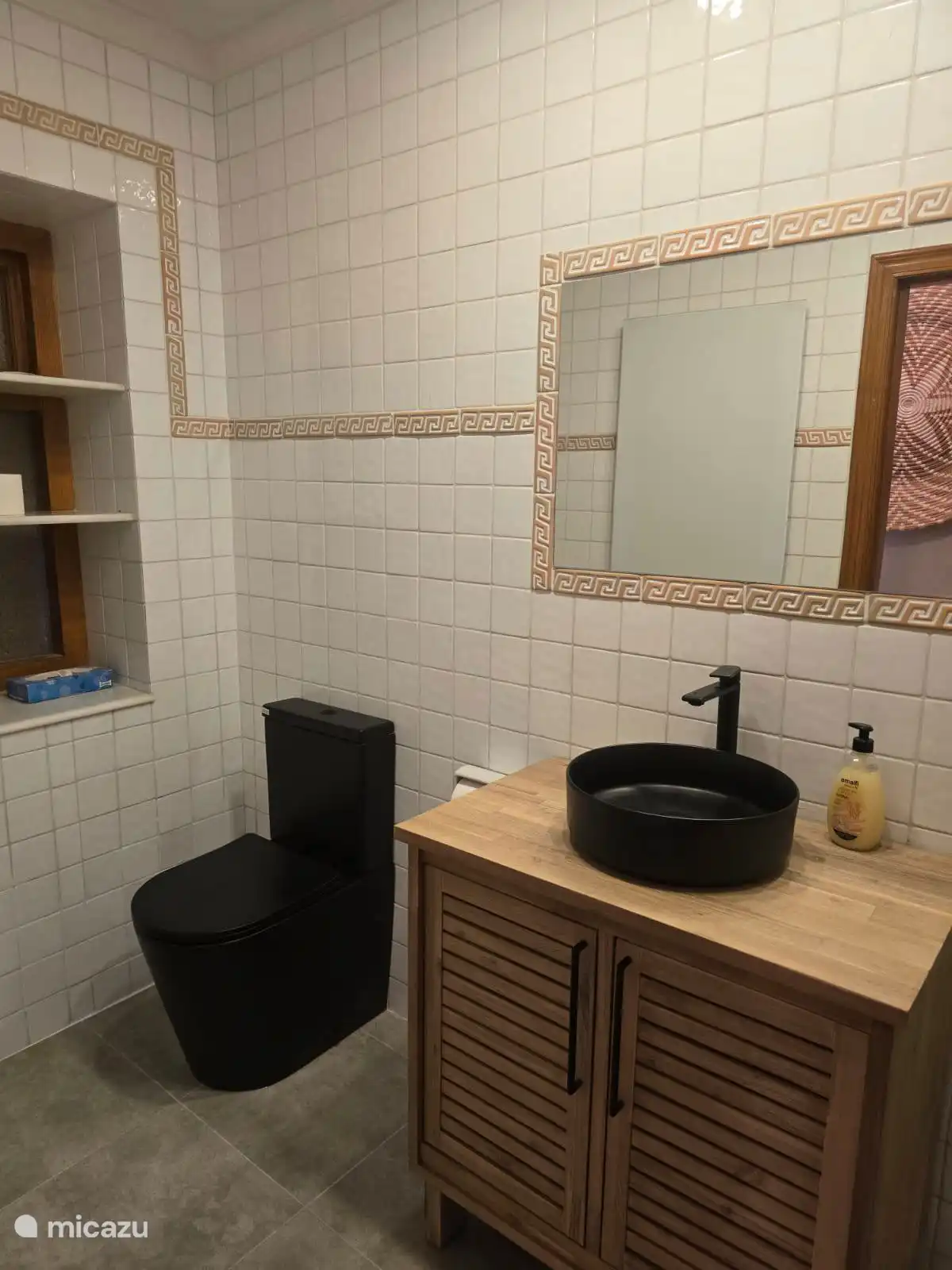 toilet 
casa mañana