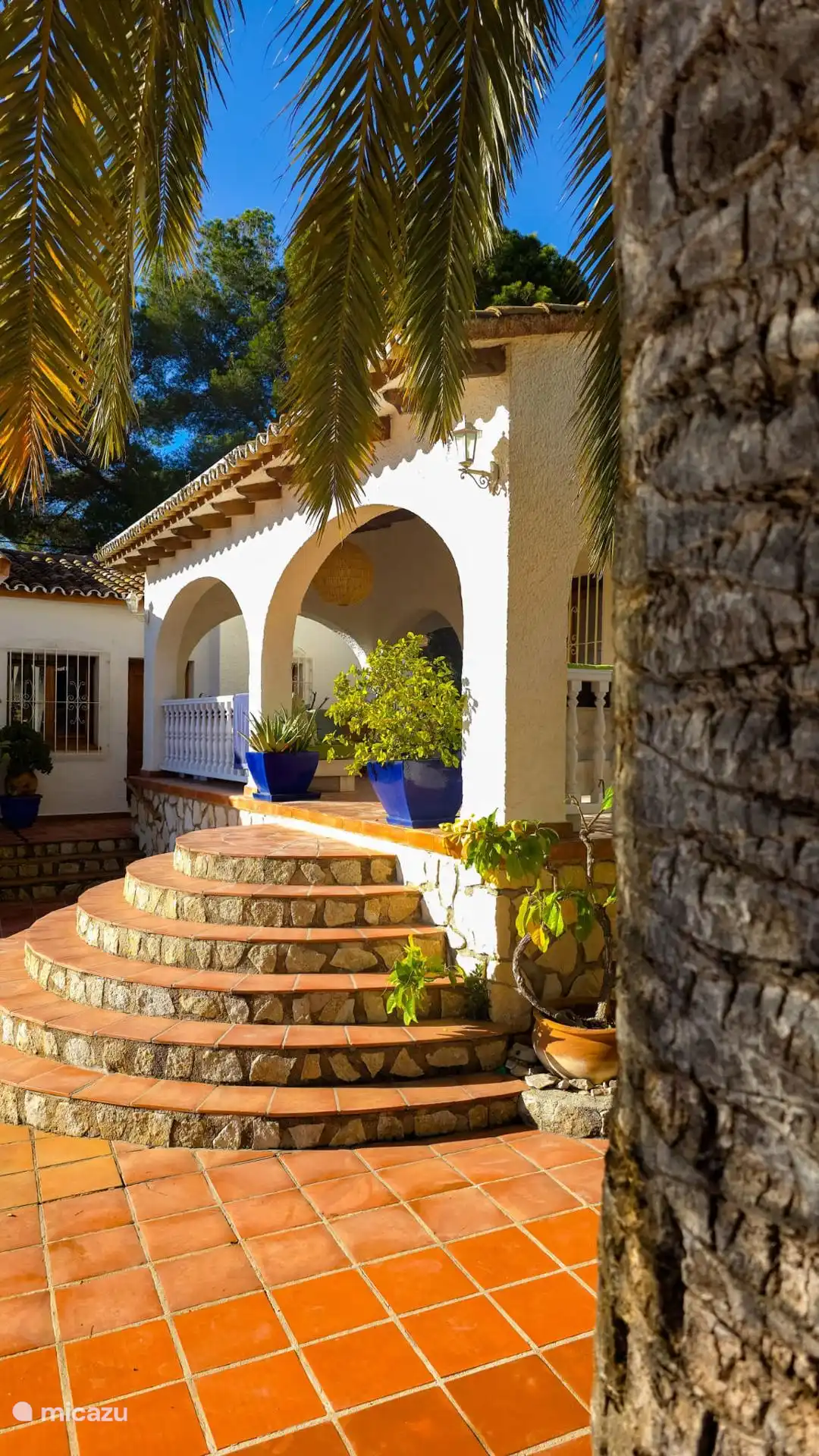 De naya, kies jij voor een plekje in de zon of liever in de schaduw?