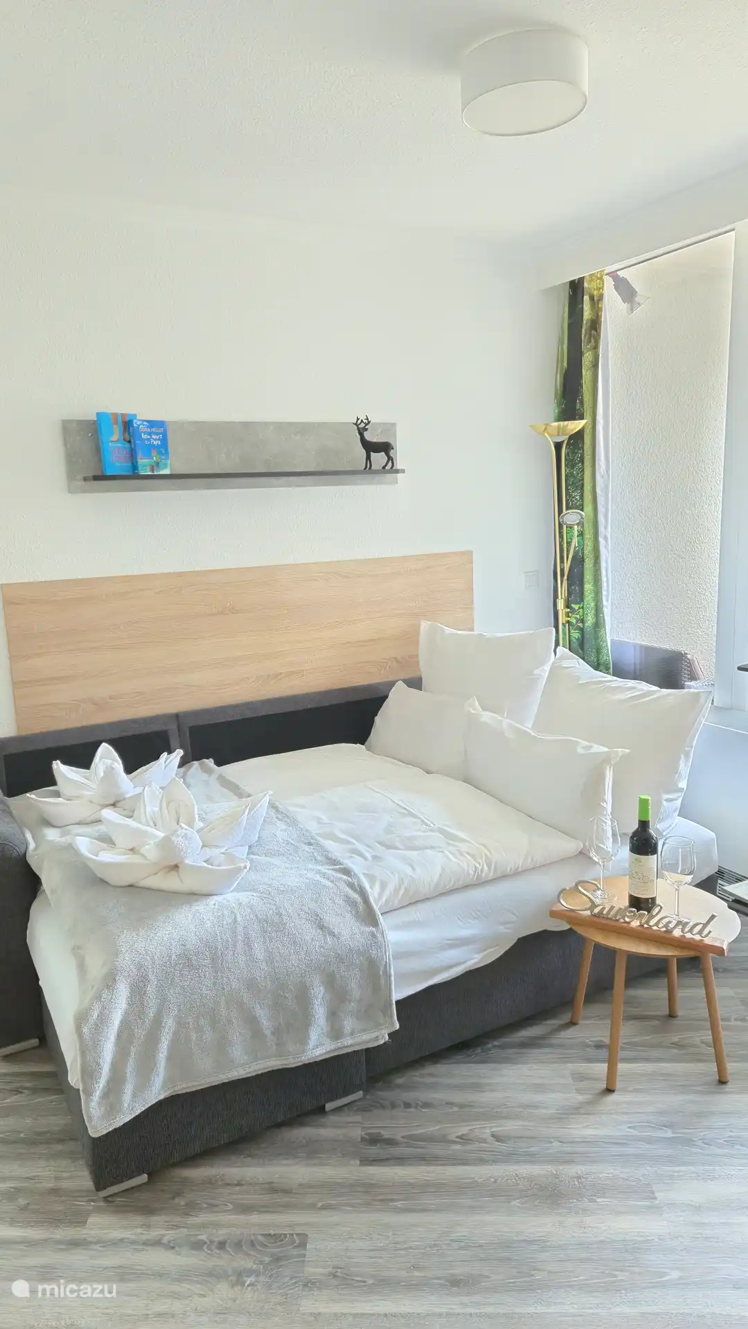 Schlafsofa im Wohnzimmer 