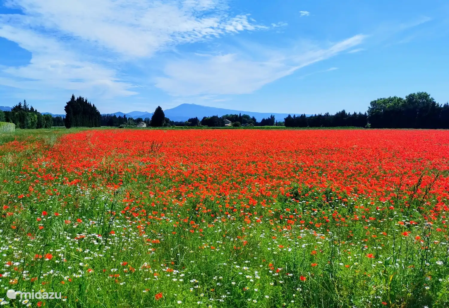 Vista del paisaje en el lado derecho de la casa