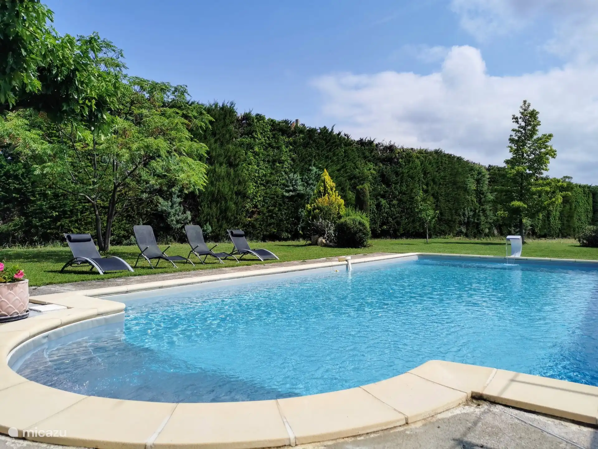 Pool and garden views