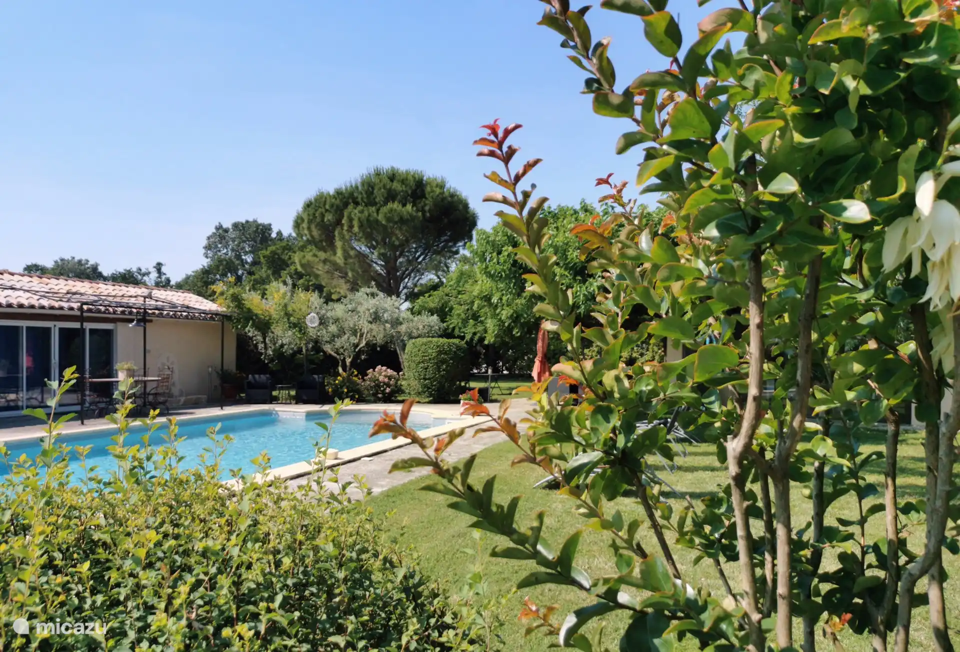 Garden view and independent master suite bedroom 5