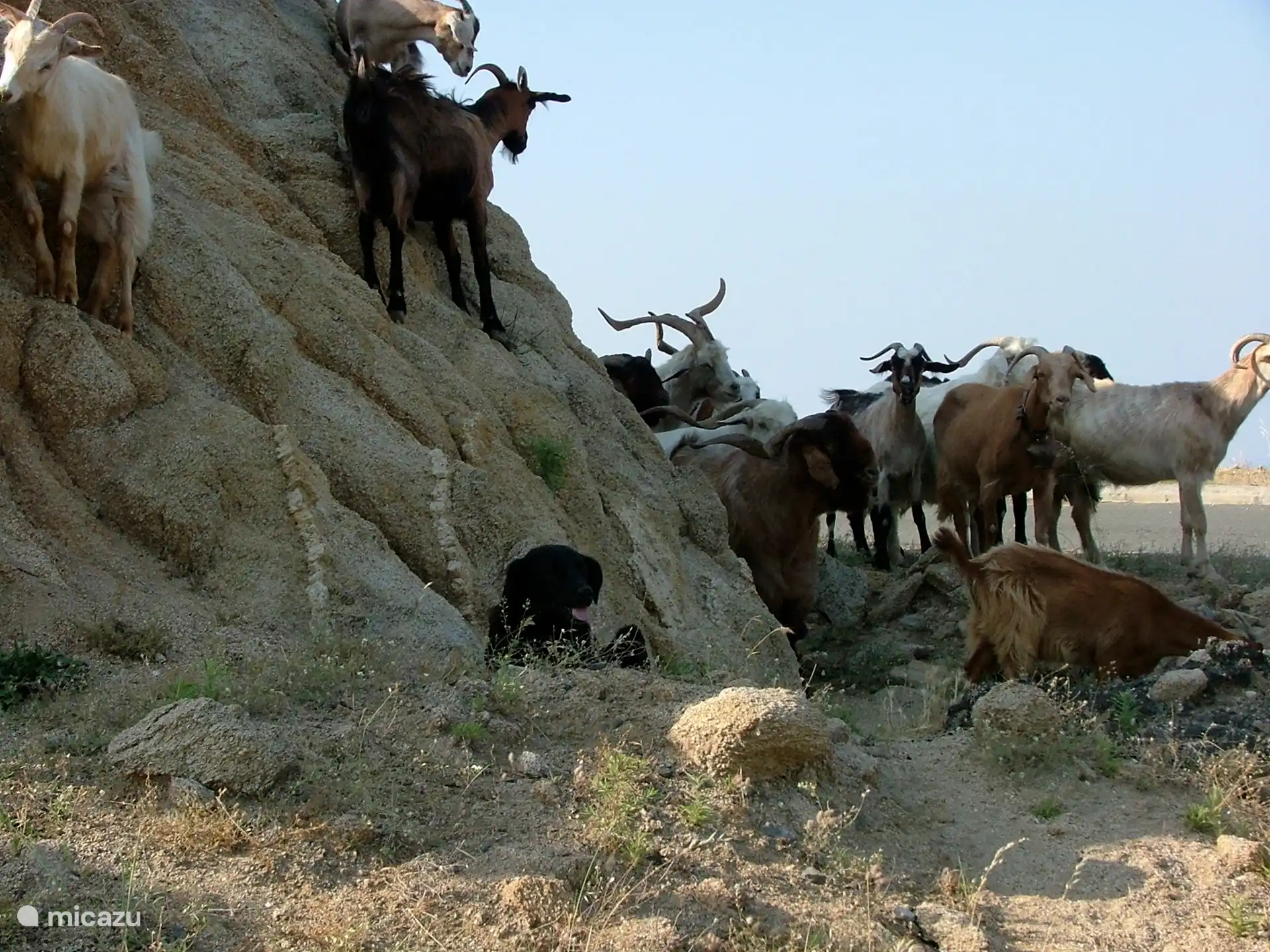 Veel voorkomend straatbeeld