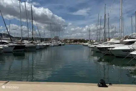 Le port de Dénia