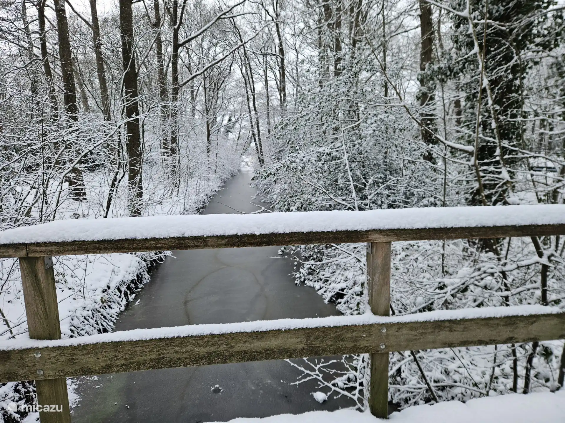 Entorno durante el periodo de invierno.