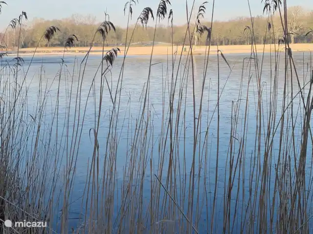 L’œil de sable | Pays-Bas, Drenthe, Hollandscheveld  - pension / maison d’hôtes / chambre privée Environnement