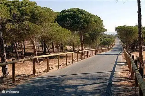 Nog meer schitterende paden