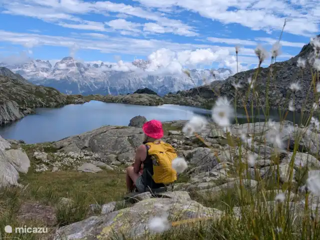Location de Vacances Italie, Trente, Dimaro, appartement - Villa Meledrio terra Randonnée