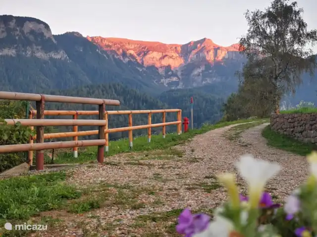 Location de Vacances Italie, Trente, Dimaro, appartement - Villa Meledrio terra Vue depuis la terrasse