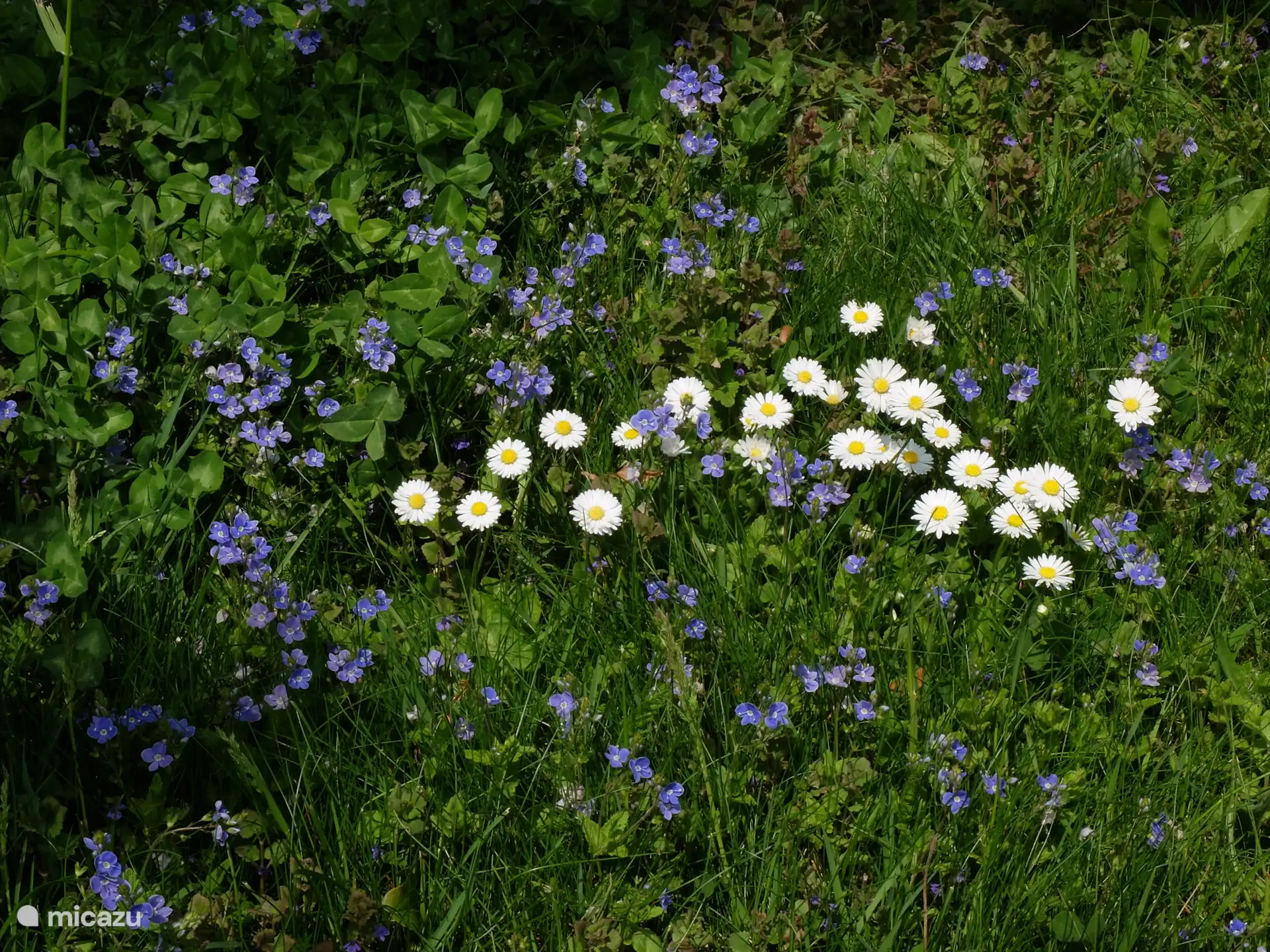 Frühling rund ums Haus
