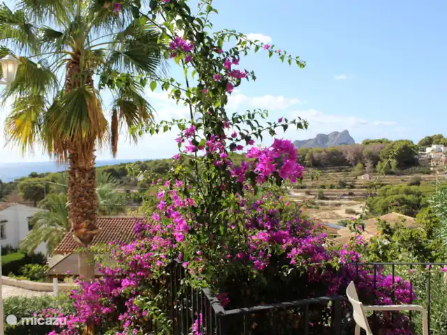 Villa Benissa Blanca | Espagne, Costa Blanca, Benissa - villa Le jardin est magnifiquement aménagé, avec de belles fleurs et des palmiers.
