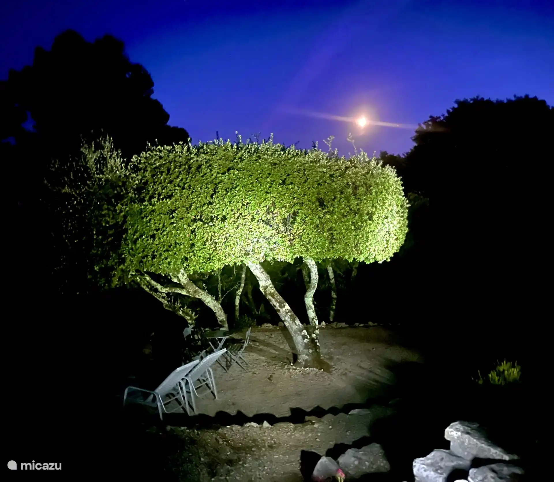 Nachtstimmung im Garten